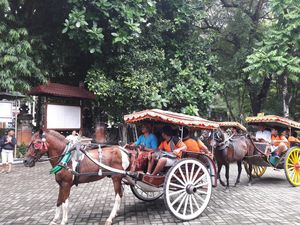 Hore! Layanan Dokar Gratis di Denpasar Hadir Lagi Mulai Februari 2024