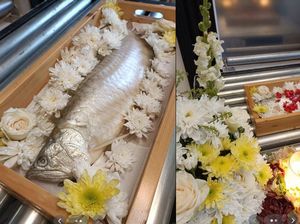 Video Kremasi Ikan Arwana Ini Disebut Mirip Ikan Bakar Premium Video Kremasi Ikan Arwana Ini Disebut Mirip Ikan Bakar Premium