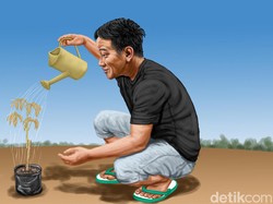 Wadas Hilang, Food Estate Terbilang