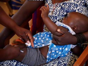 Kamerun Mulai Program Vaksinasi Malaria Pertama di Dunia Kamerun Mulai Program Vaksinasi Malaria Pertama di Dunia