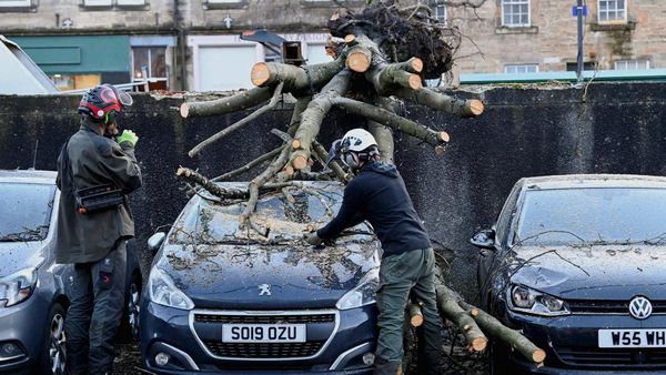 Mobil-mobil Ini Jadi Korban Pohon Tumbang Gegara Badai Isha