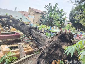 20 Makam di TPU Kawah Tengkurep Rusak Usai Tertimpa Pohon Tumbang