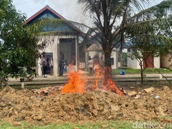 Balai Karantina Papua Barat Daya Musnahkan 1,6 Ton Daging Olahan Ilegal