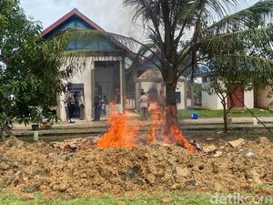 Balai Karantina Papua Barat Daya Musnahkan 1,6 Ton Daging Olahan Ilegal Balai Karantina Papua Barat Daya Musnahkan 1,6 Ton Daging Olahan Ilegal