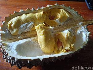 Durian Kromo Banyumas Bisa Nikmat Berkat Pohon Diajak Ngobrol Pemilik Durian Kromo Banyumas Bisa Nikmat Berkat Pohon Diajak Ngobrol Pemilik