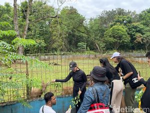 Influencer Bersih-bersih Medan Zoo-Sumbang Pakan Hewan Influencer Bersih-bersih Medan Zoo-Sumbang Pakan Hewan