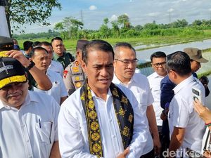 Petani Perseorangan Turun, Mentan Ungkap Penyebabnya Petani Perseorangan Turun, Mentan Ungkap Penyebabnya