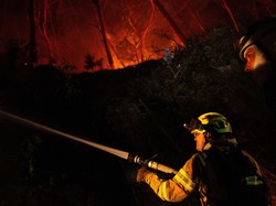 Tok! MA Kabulkan PK KLHK ke Perusahaan Sawit soal Kebakaran Lahan