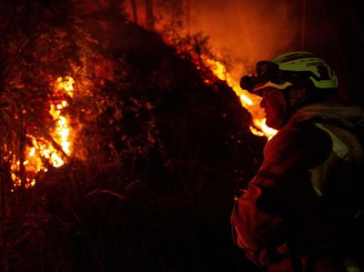 Aksi Petugas Berjibaku Padamkan Kebakaran Hutan di Bogota