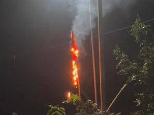Fakta-fakta Ketua RT di Malang Jadi Tersangka Usai Bakar Bendera PDIP