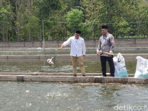 Cak Imin Bakal Bikin Menag Rangkap Tugas Urusi Ikan untuk Jemaah Haji