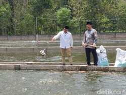 Cak Imin Bakal Bikin Menag Rangkap Tugas Urusi Ikan untuk Jemaah Haji