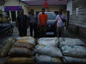 Curi 1 Ton Sawit Pakai Mobil, Pria di Labusel Ditangkap