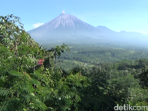 Gunung Semeru Erupsi Semburkan Abu Vulkanik Setinggi 900 Meter Gunung Semeru Erupsi Semburkan Abu Vulkanik Setinggi 900 Meter