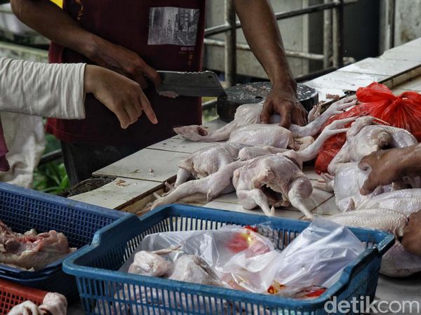 Menjelang Pemilu, Harga Ayam Potong Terpantau Stabil