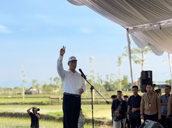 Mentan Amran Buka Suara soal Presiden Boleh Memihak