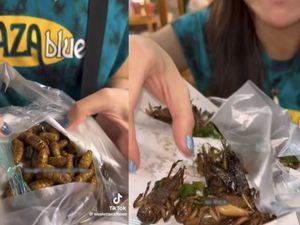 Santapan Belalang dan Ulat yang Berbuah Petaka