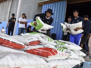 Pemerintah Diskon 40% Pupuk Nonsubsidi