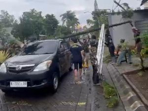 Pohon Tumbang Timpa Mobil di Kota Malang