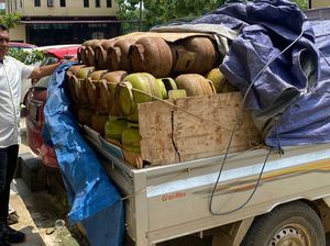 Polisi Gagalkan Penyelundupan 400 Tabung LPG 3 Kg-2 Ton BBM Subsidi di Konawe Polisi Gagalkan Penyelundupan 400 Tabung LPG 3 Kg-2 Ton BBM Subsidi di Konawe