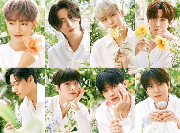 Potret tiap member ATEEZ untuk NACIFIC/ Foto: twitter.com/KrNacific