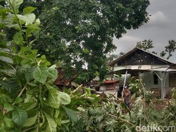 Angin Kencang Porak-porandakan Rumah Warga di Desa Kerticala