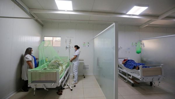 Brasil, Argentina, Uruguay, Paraguay Siaga Demam Berdarah