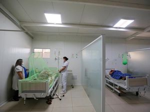 Brasil, Argentina, Uruguay, Paraguay Siaga Demam Berdarah