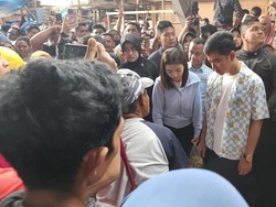 Gibran Borong Sagu dan Bagikan Buku saat Blusukan ke Pasar di Jayapura