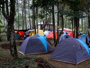 Pesona Hutan Cempaka Pasuruan: Daya Tarik, Jam Buka hingga Fasilitas