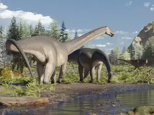 Mengenal Spesies Dinosaurus Terakhir di Bumi