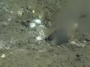 Ditemukan Kebocoran Aneh di Dasar Laut Pasifik, Bisa Sebabkan Gempa Besar