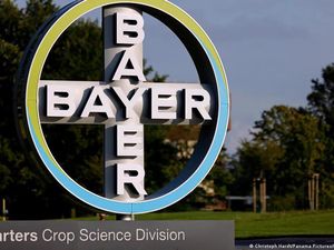 Ketika Raksasa Kimia Bayer AG Terhuyung Didera Kasus Monsanto Ketika Raksasa Kimia Bayer AG Terhuyung Didera Kasus Monsanto