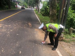 Diduga Mengantuk-Tabrak Pohon Perindang, Pemotor di Tabanan Tewas