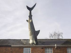 Ada Hiu 7 Meter Tembus Atap, Rumah Ini Viral hingga Jadi Kontroversi