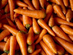 Wortel Organik di AS Tercemar E Coli, Picu 1 Warga Tewas-Puluhan Jatuh Sakit