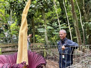 Kisah Dicky yang Rela Begadang Demi Meneliti Pesona Flora-Fauna Tahura Kisah Dicky yang Rela Begadang Demi Meneliti Pesona Flora-Fauna Tahura