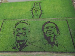 Bentuk Kecintaan, Seniman Ini Lukis Wajah Ganjar-Mahfud di Tengah Sawah