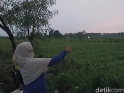 12 Petani di Jembrana Bali Tersambar Petir Saat Panen Semangka