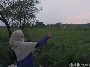 12 Petani di Jembrana Bali Tersambar Petir Saat Panen Semangka 12 Petani di Jembrana Bali Tersambar Petir Saat Panen Semangka