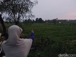 Ngeri! 12 Orang Tersambar Petir Saat Panen Semangka di Jembrana Bali