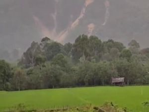 Longsor Bukit Tanjung Agung Timbun Puluhan Hektare Sawah-Kebun di Lahat