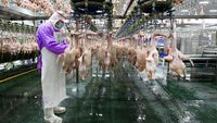 Intip Canggihnya Pabrik Pengolahan Daging Bebek di China