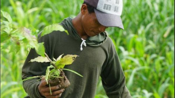 Aksi Tanam Pohon Lindungi Bumi dan Sesama
