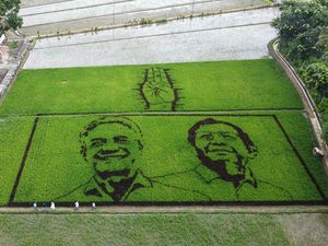 Ciamik! Lukisan Berwajah Ganjar-Mahfud Mejeng di Petakan Sawah Ciamik! Lukisan Berwajah Ganjar-Mahfud Mejeng di Petakan Sawah
