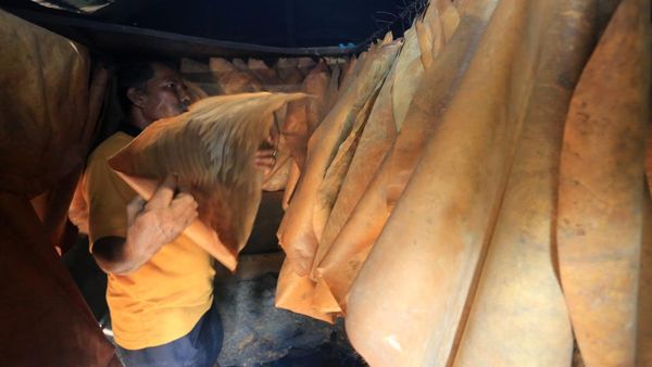 Melihat Pengasapan Kulit Kambing di Aceh