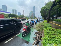 Pohon Tumbang Depan Polda Metro, Arus Lalin Jalan Gatsu Tersendat