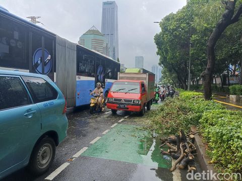 Pohon tumbang di dekat Markas Polda Metro Jaya, Jakan Gatot Subroto, Jakarta Selatan.