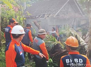 Ngeri, Pohon Kelapa Tumbang Timpa Rumah di Klungkung Ngeri, Pohon Kelapa Tumbang Timpa Rumah di Klungkung
