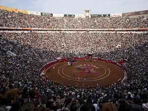 Sempat Dilarang, Adu Banteng Meksiko Kembali Digelar Meriah